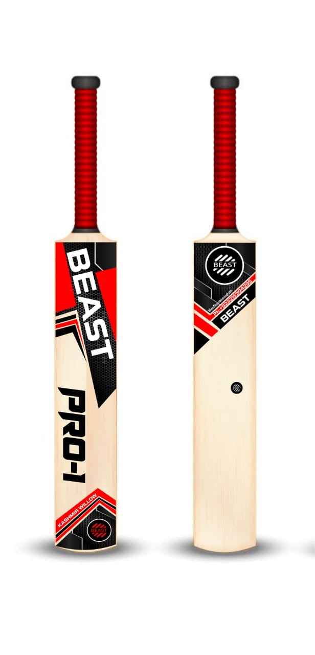 Hard Ball Cricket Bat