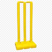 Hard Plastic Wicket