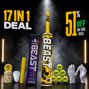 BEAST Rawalakot Wood 17 in 1 Cricket Kit – Premium Tape Ball Cricket Bat Set