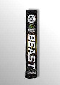 CRICKET BAT FOMIC COVER