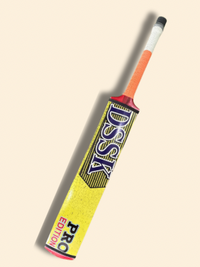 Mirza Sports Rawlakot Bat