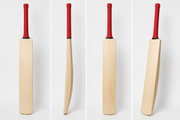 Hard Ball Cricket Bat 🏏