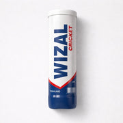 Wizal Cricket Balls