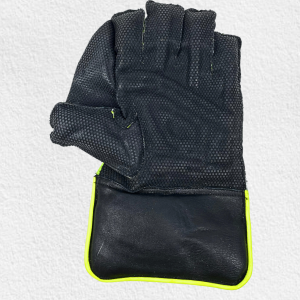 Wicket Keeping Gloves