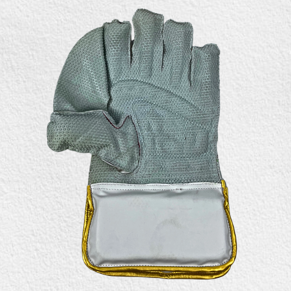 Wicket Keeping Gloves
