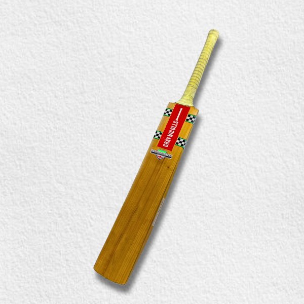 Gray Nicools Siberian Willow Bat