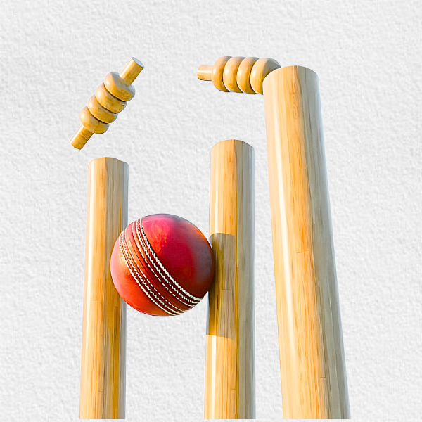 WOODEN WICKETS (PACK OF 03 )