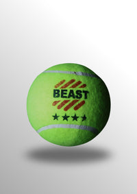 Beast Cricket 4 Star Ball
