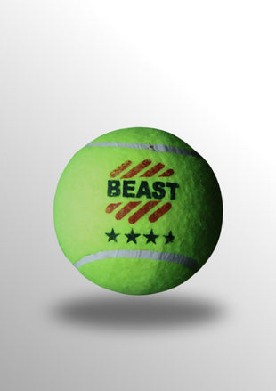 Beast Cricket 4 Star Ball