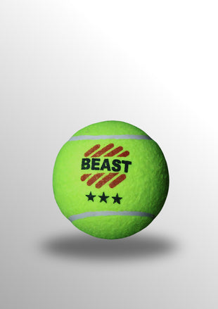 Beast Cricket 3 Star Ball