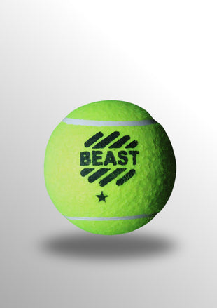 Beast Cricket 2 Star Ball