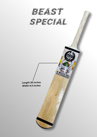DINO COCONUT BAT [SPECIAL EDITION 2025]